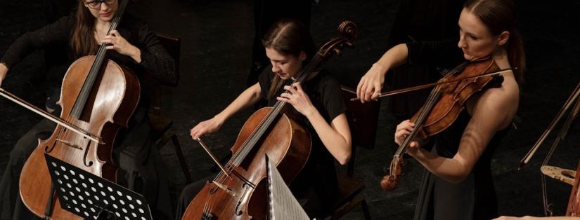 L’art de collaborer entre DJ et musiciens live : duo gagnant pour des soirées mémorables