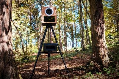 Appareil photo en bois monté sur un trépied dans une forêt ensoleillée, entouré d'arbres et de feuilles au sol.