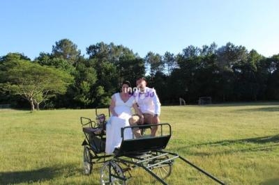 Un couple assis dans une calèche sur une prairie verdoyante, entouré d'arbres sous un ciel dégagé.