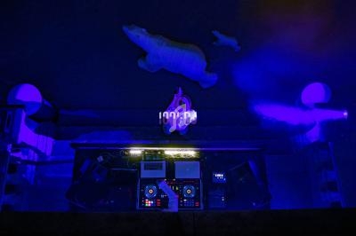 Vue plongeante d'une installation lumineuse avec des platines DJ et des sculptures d'ours éclairées en bleu.