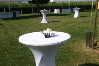 Tables hautes blanches dressées sur une pelouse, entourées de tentes et d'arbres par une journée ensoleillée.