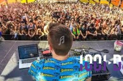 Vue arrière d'un DJ mixant sur scène devant une foule dense lors d'un festival en plein air.