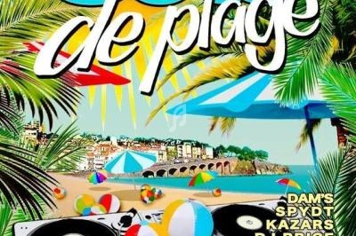 Affiche colorée annonçant un événement musical en plein air à Banyuls-sur-Mer, avec palmiers, plage et artistes listés.