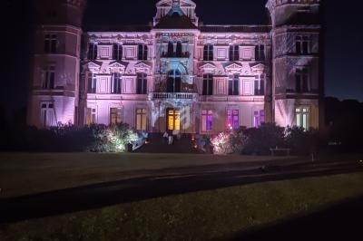 Façade d'un château illuminé par des lumières colorées dans un environnement nocturne.