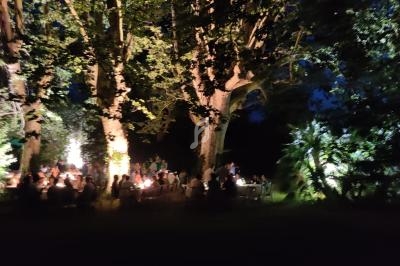 Groupe de personnes dînant en plein air sous des arbres illuminés dans un cadre nocturne.