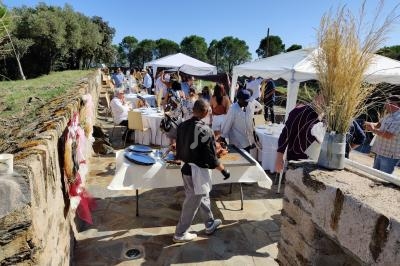 Des personnes participent à un événement en plein air avec des tables dressées, des tentes blanches et un décor champêtre.