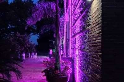 Façade en briques éclairée par des lumières violettes, avec des plantes en pot et un arbre en arrière-plan au crépuscule.