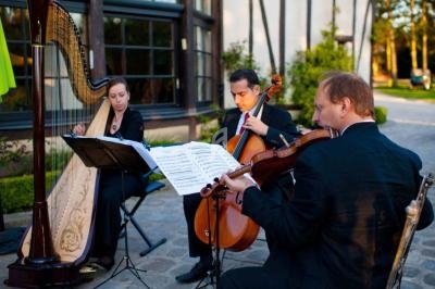 Trois musiciens jouent de la harpe, du violon et du violoncelle en extérieur près d'un bâtiment à colombages.