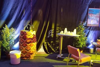Un espace décoré avec des plantes, des chaises, une table et des boissons, éclairé par des lumières colorées.