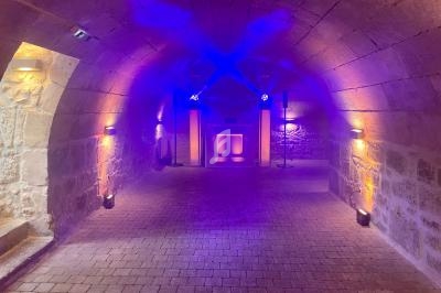 Salle voûtée en pierre éclairée par des lumières colorées violettes et jaunes, avec un espace aménagé au fond.