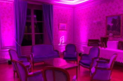 Salon élégant avec fauteuils et canapé anciens, éclairé par une lumière rose, murs ornés de papier peint floral.